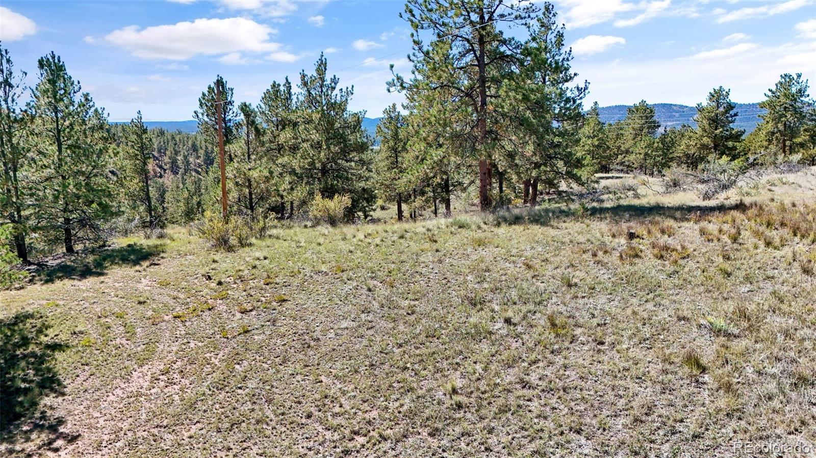 163 Valley View Drive Florissant CO 80816