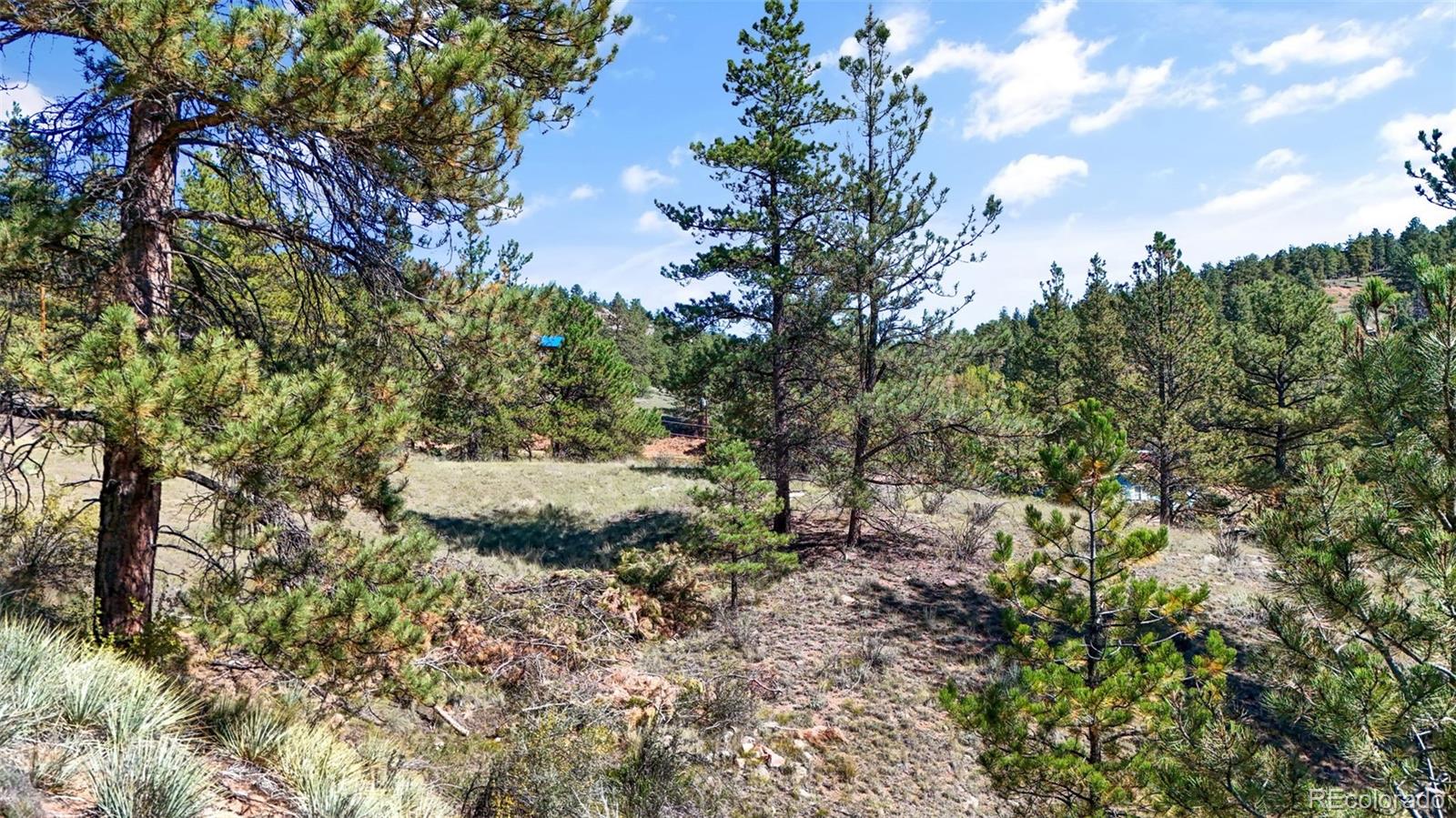 163 Valley View Drive Florissant CO 80816
