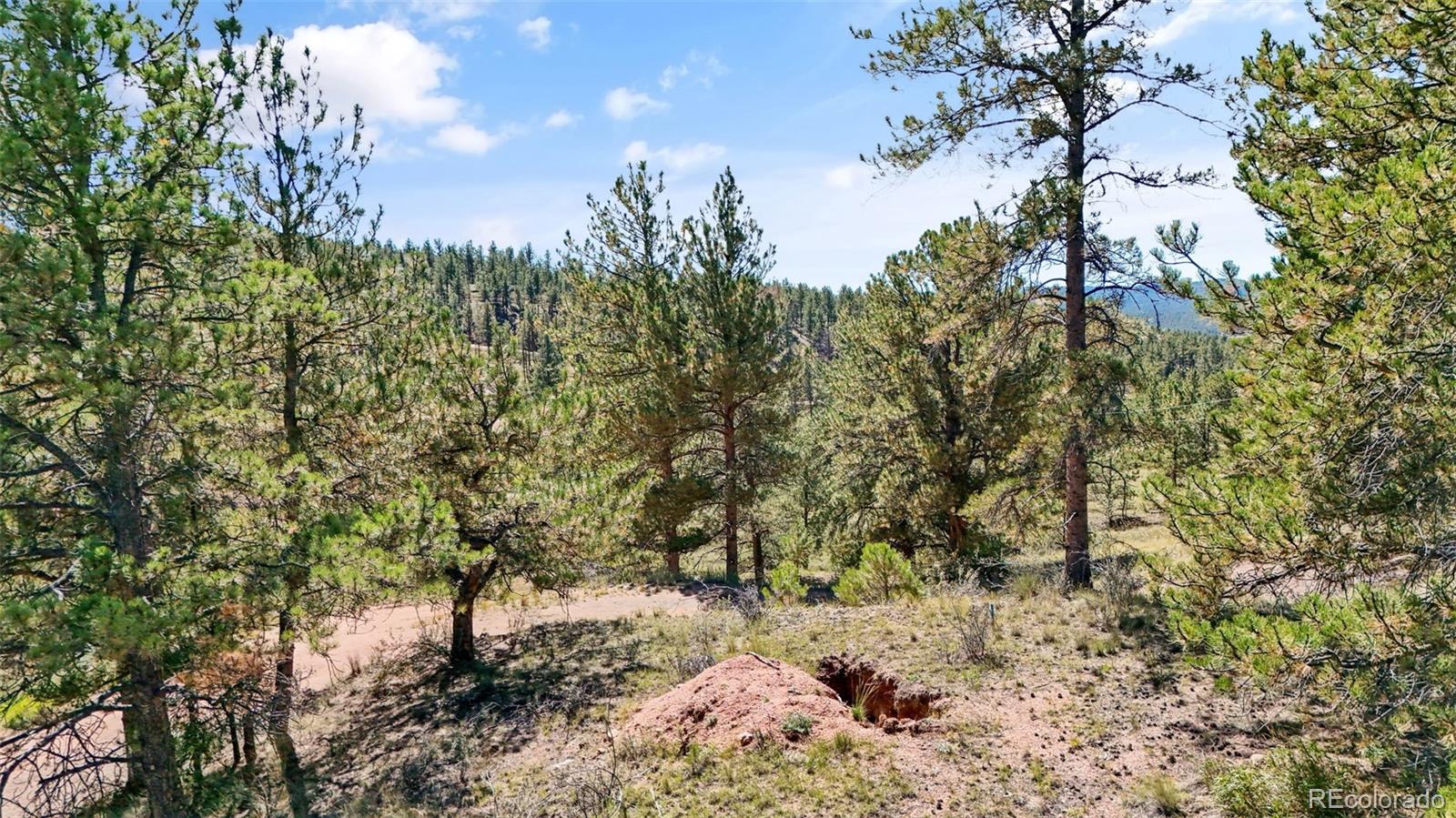 163 Valley View Drive Florissant CO 80816