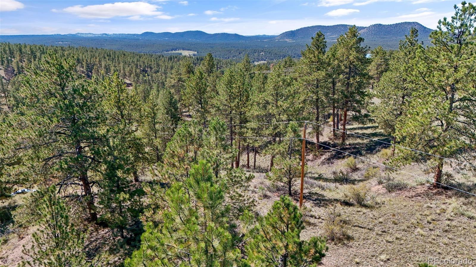 163 Valley View Drive Florissant CO 80816