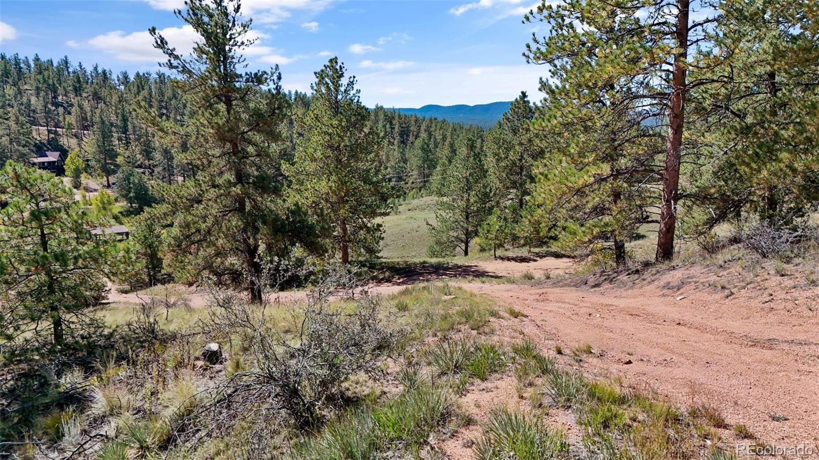 163 Valley View Drive Florissant CO 80816