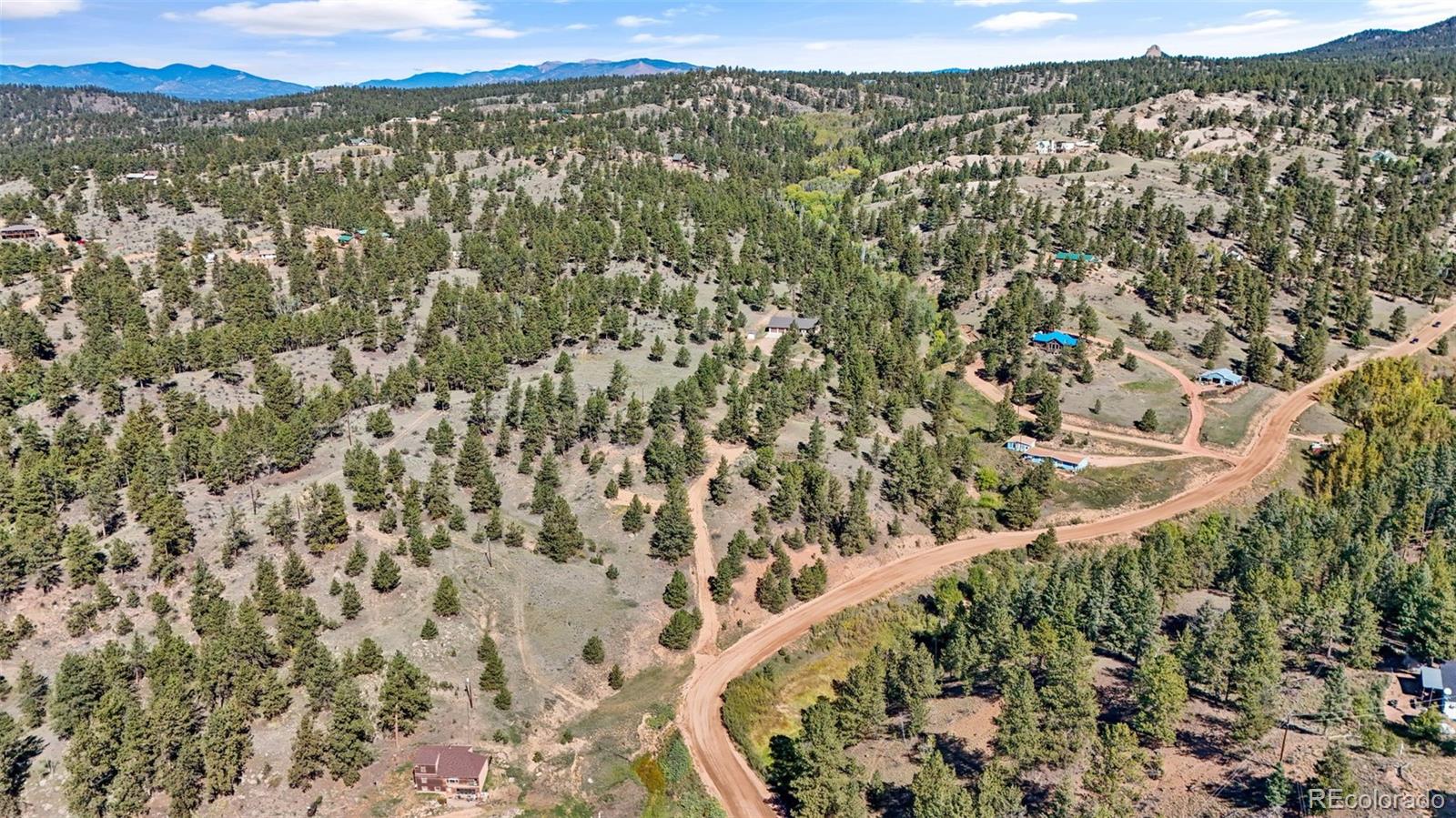 163 Valley View Drive Florissant CO 80816