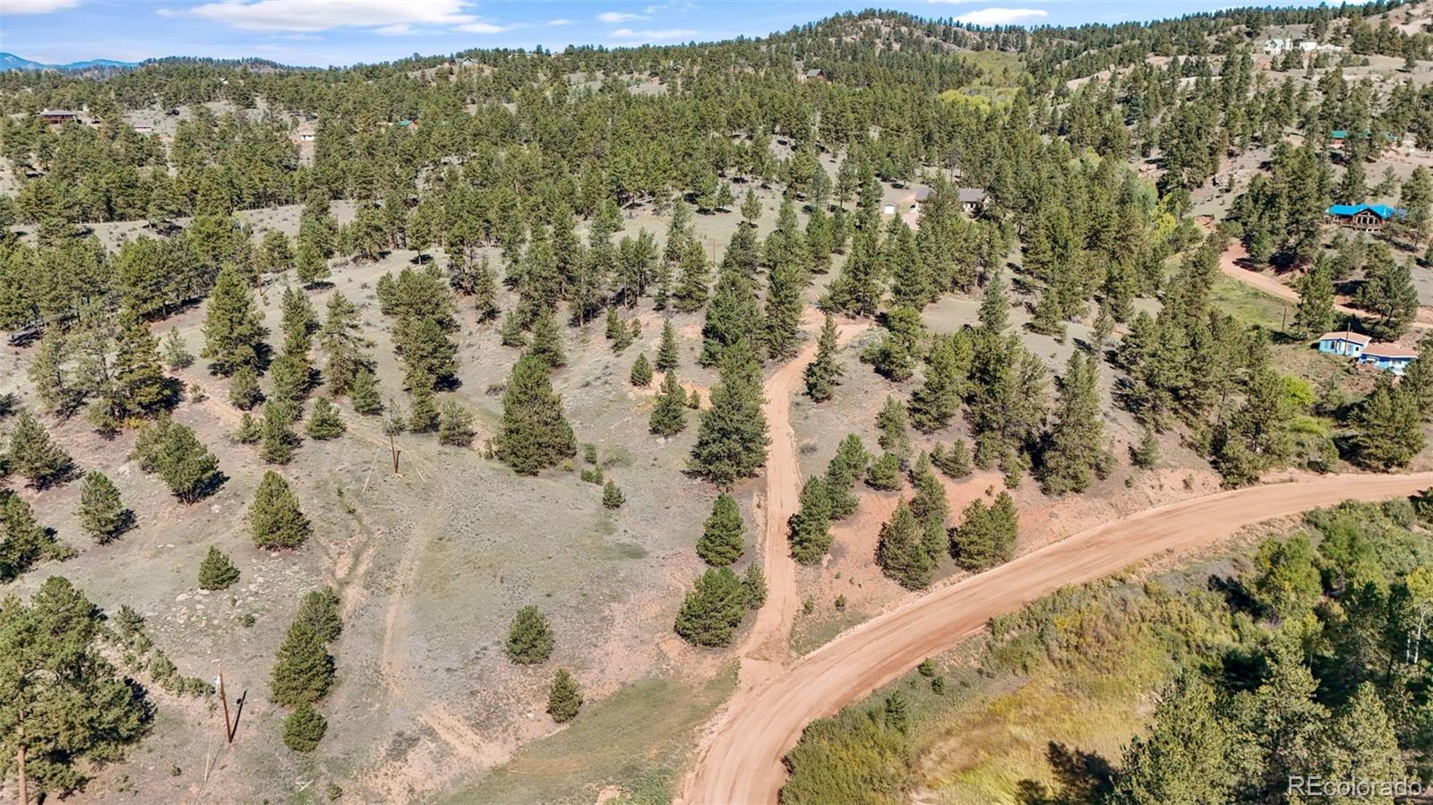 163 Valley View Drive Florissant CO 80816