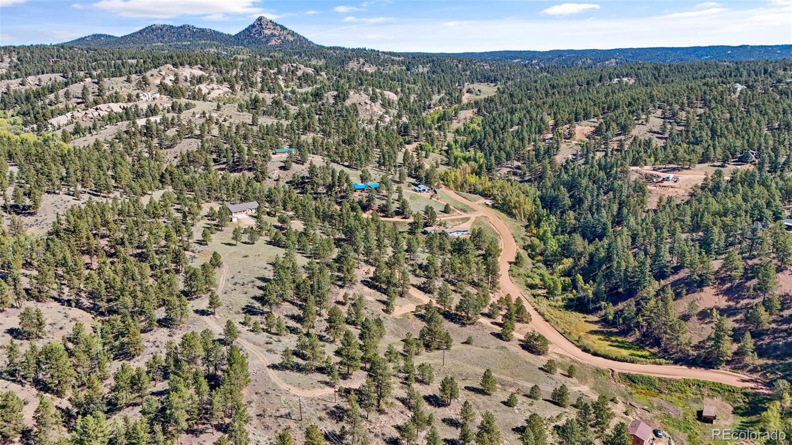 163 Valley View Drive Florissant CO 80816