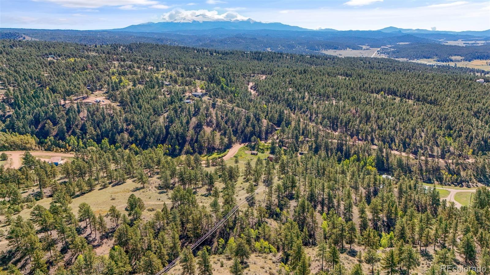 163 Valley View Drive Florissant CO 80816
