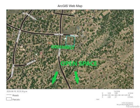 4438 Rarity Court Crestone CO 81131