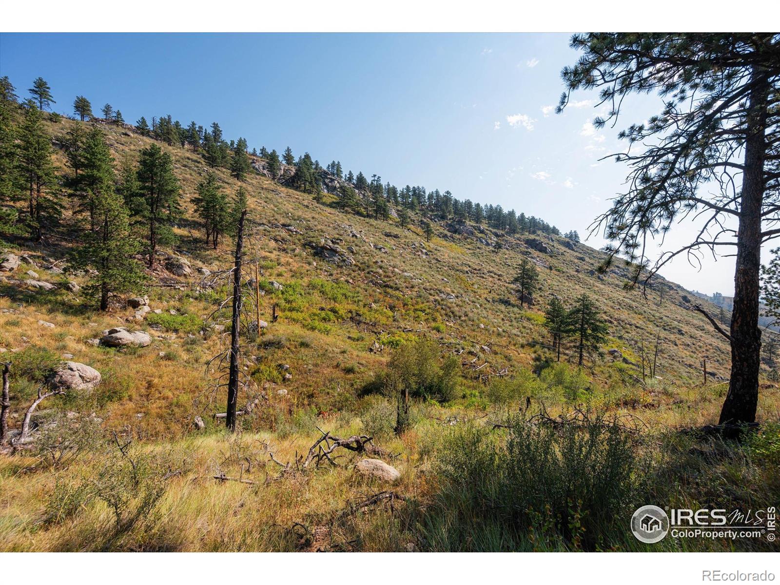 0 Pine Acres Way Bellvue CO 80512