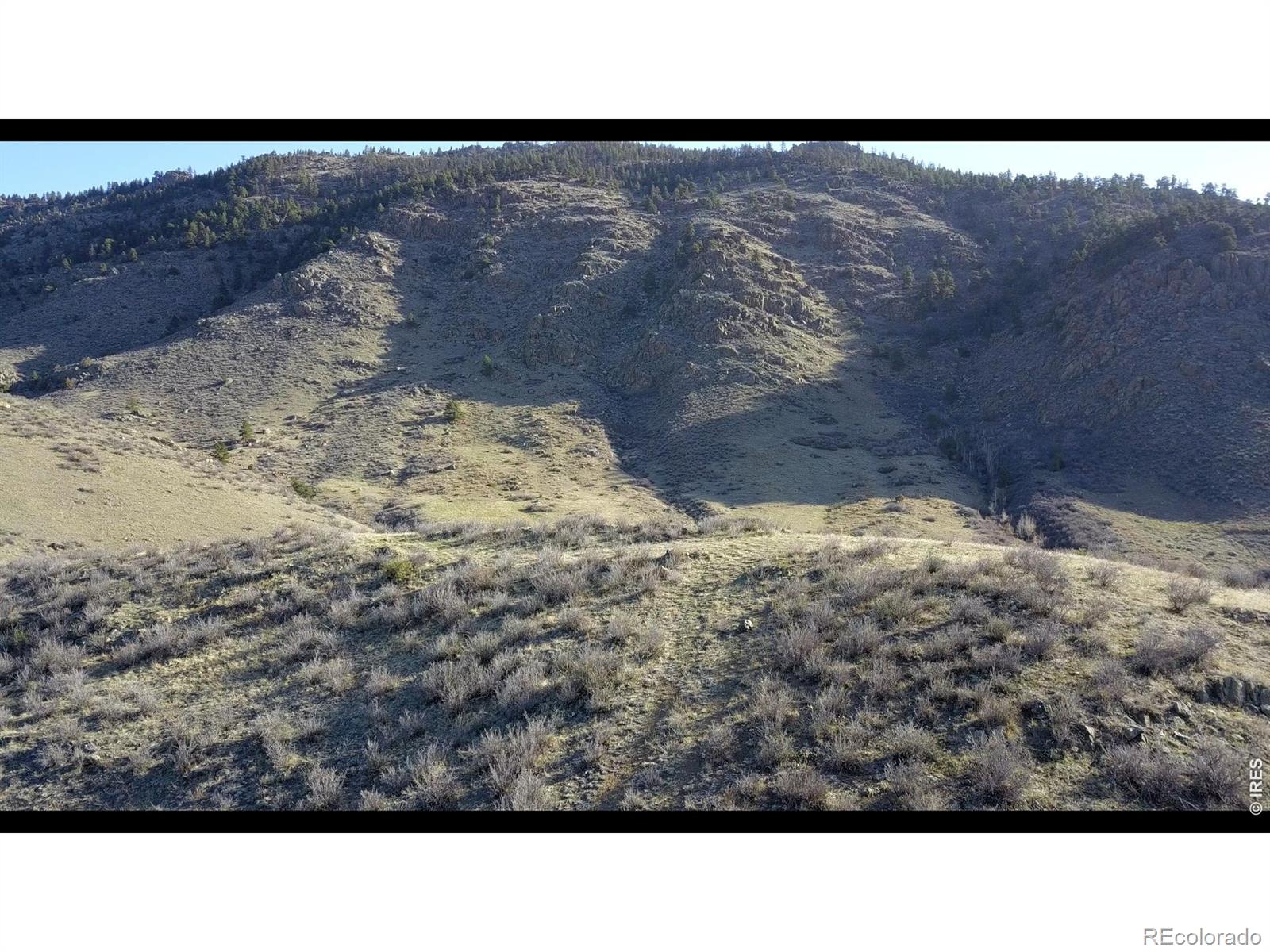14750 Buckhorn Road Loveland CO 80538
