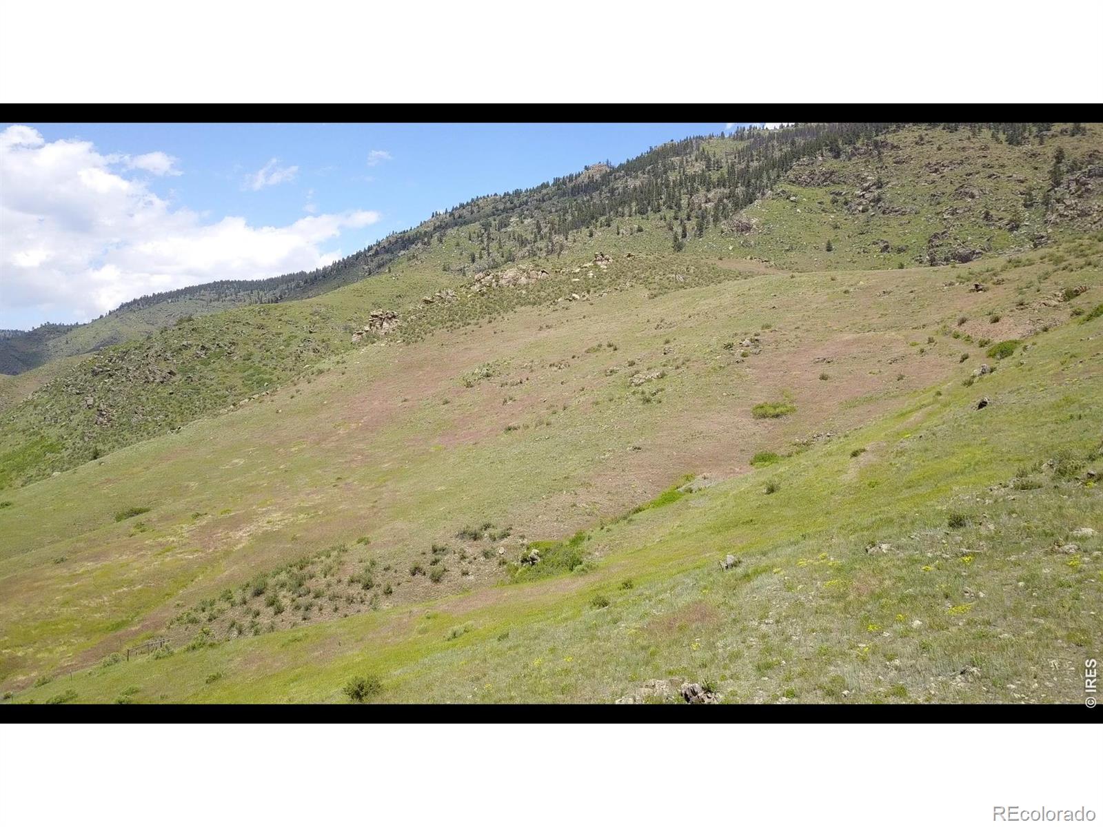 14750 Buckhorn Road Loveland CO 80538