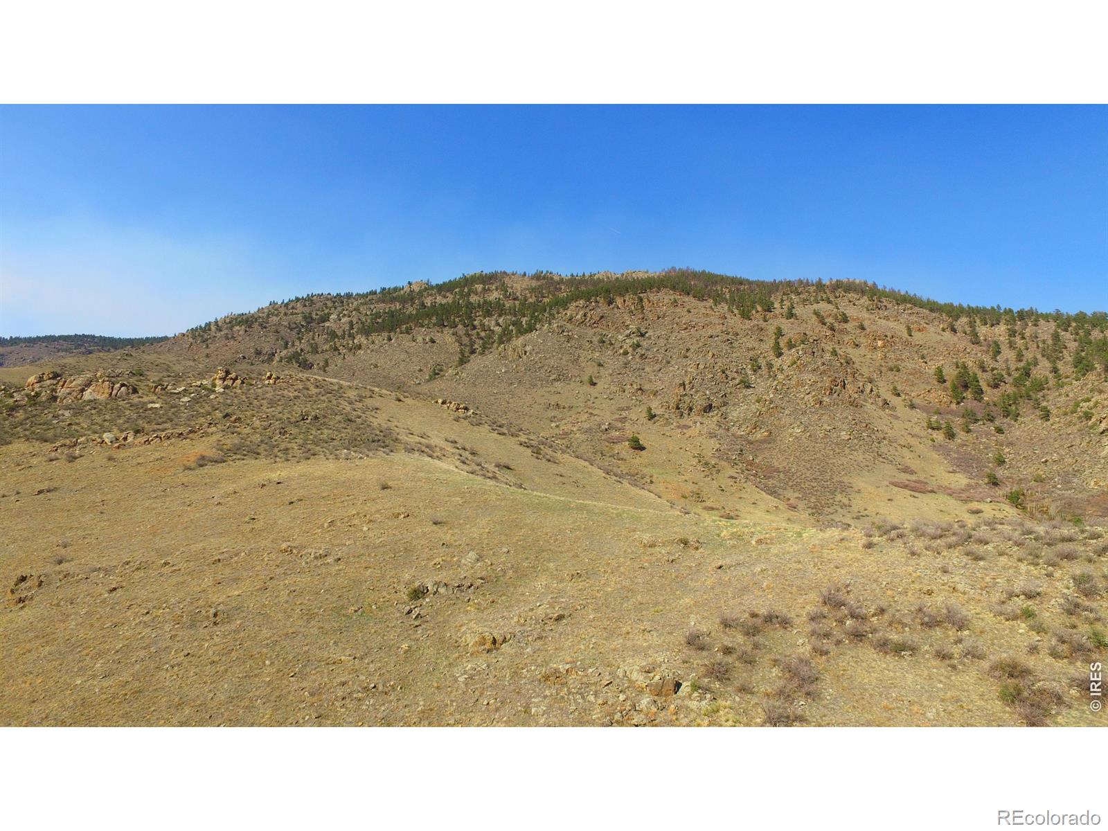 14750 Buckhorn Road Loveland CO 80538