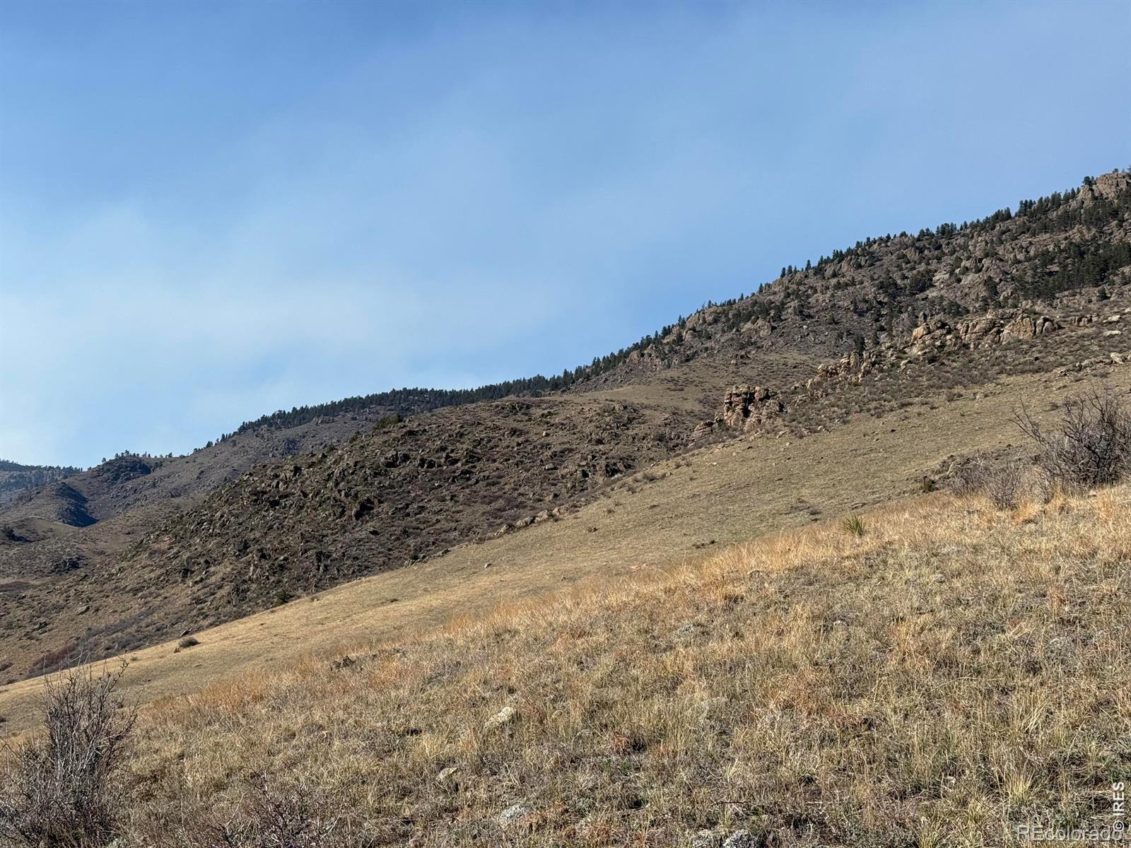 14750 Buckhorn Road Loveland CO 80538