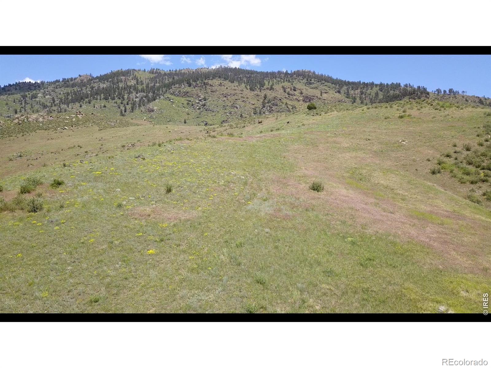 14750 Buckhorn Road Loveland CO 80538
