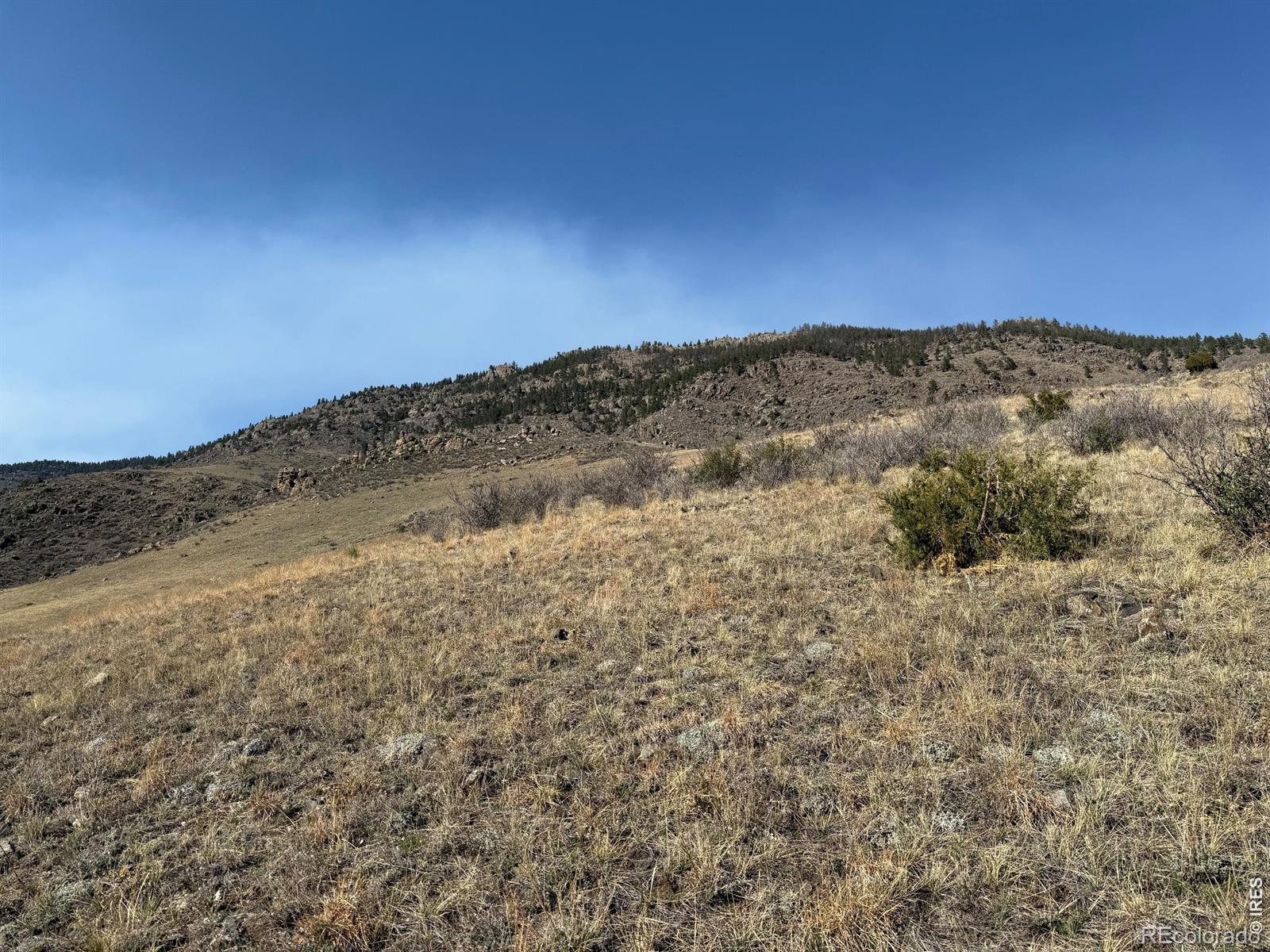 14750 Buckhorn Road Loveland CO 80538