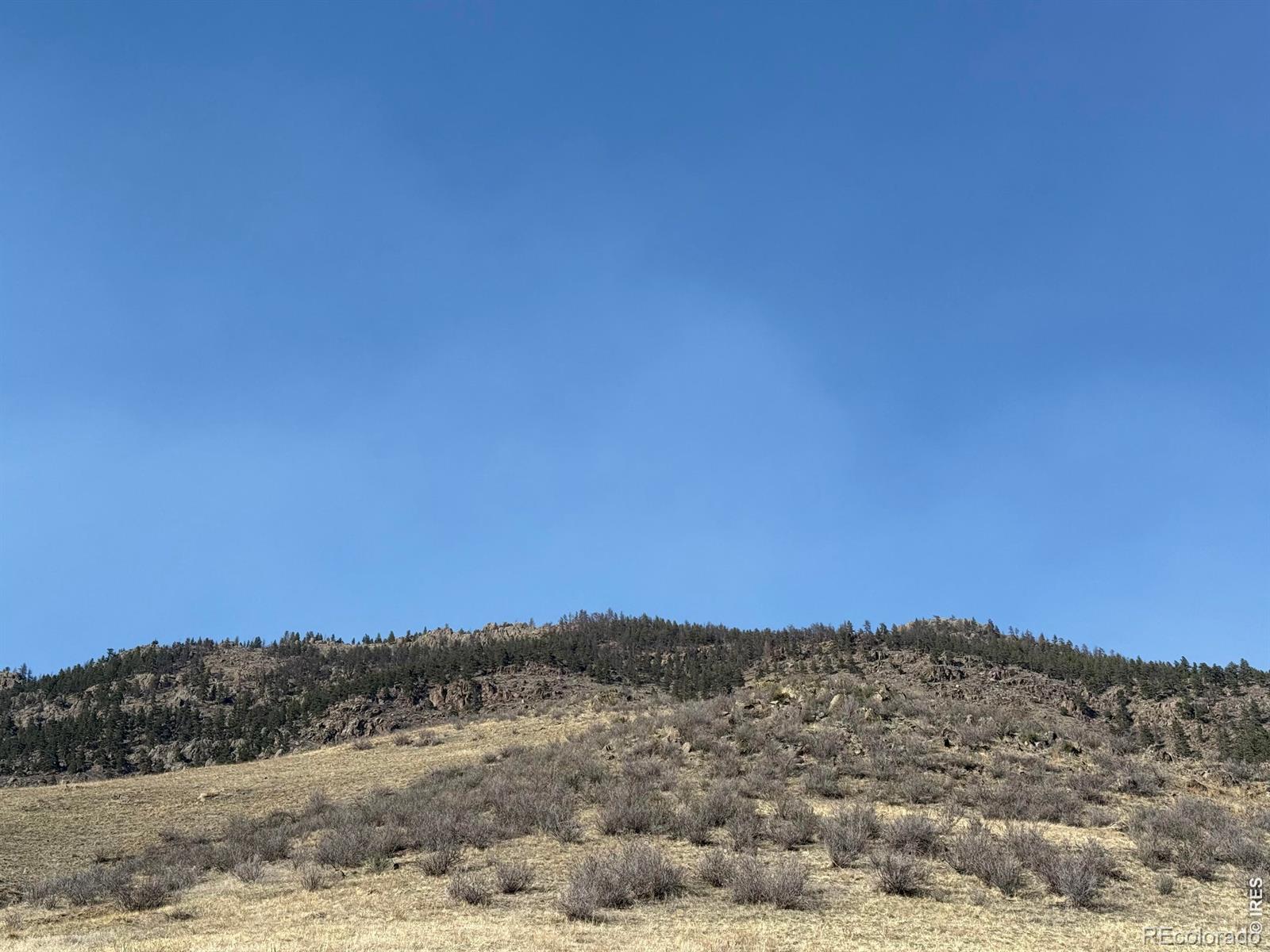14750 Buckhorn Road Loveland CO 80538