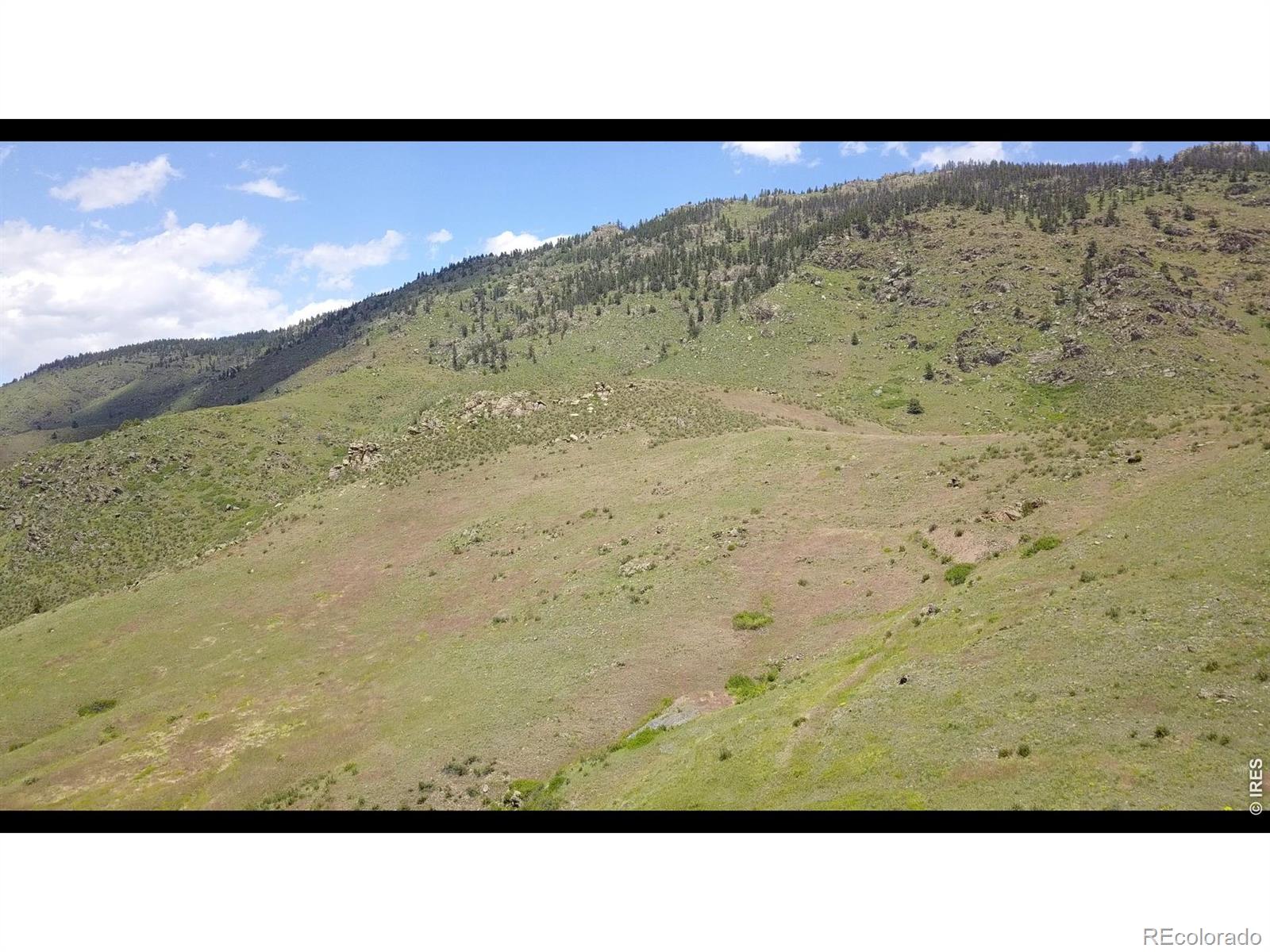14750 Buckhorn Road Loveland CO 80538