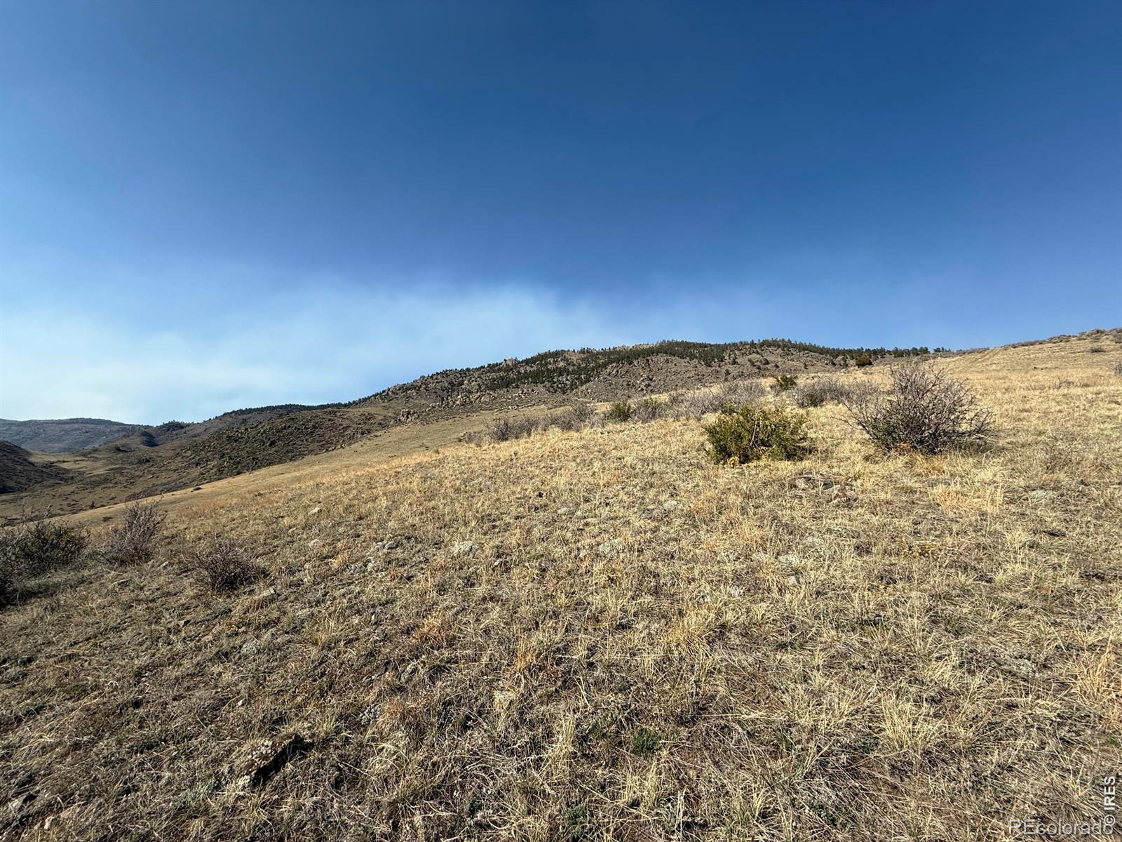14750 Buckhorn Road Loveland CO 80538