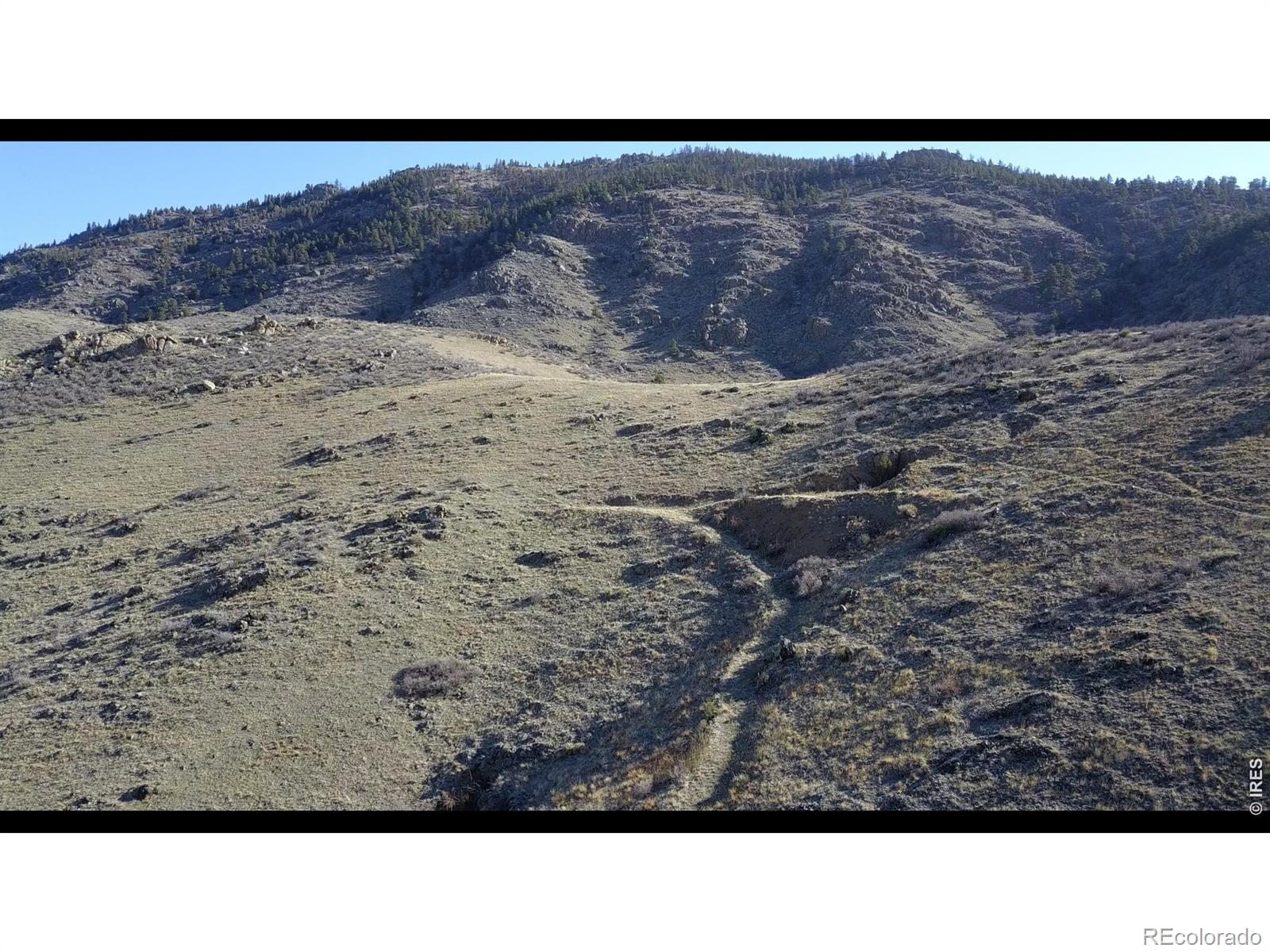 14750 Buckhorn Road Loveland CO 80538