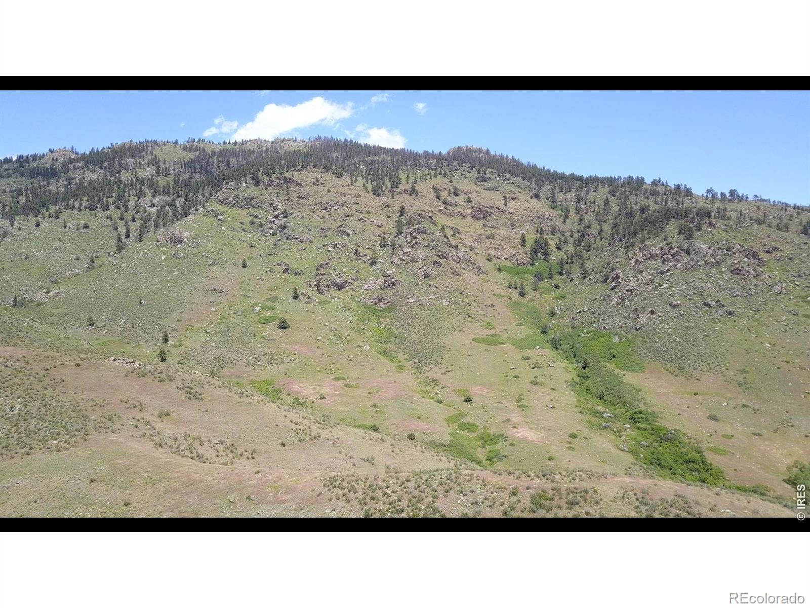 14750 Buckhorn Road Loveland CO 80538
