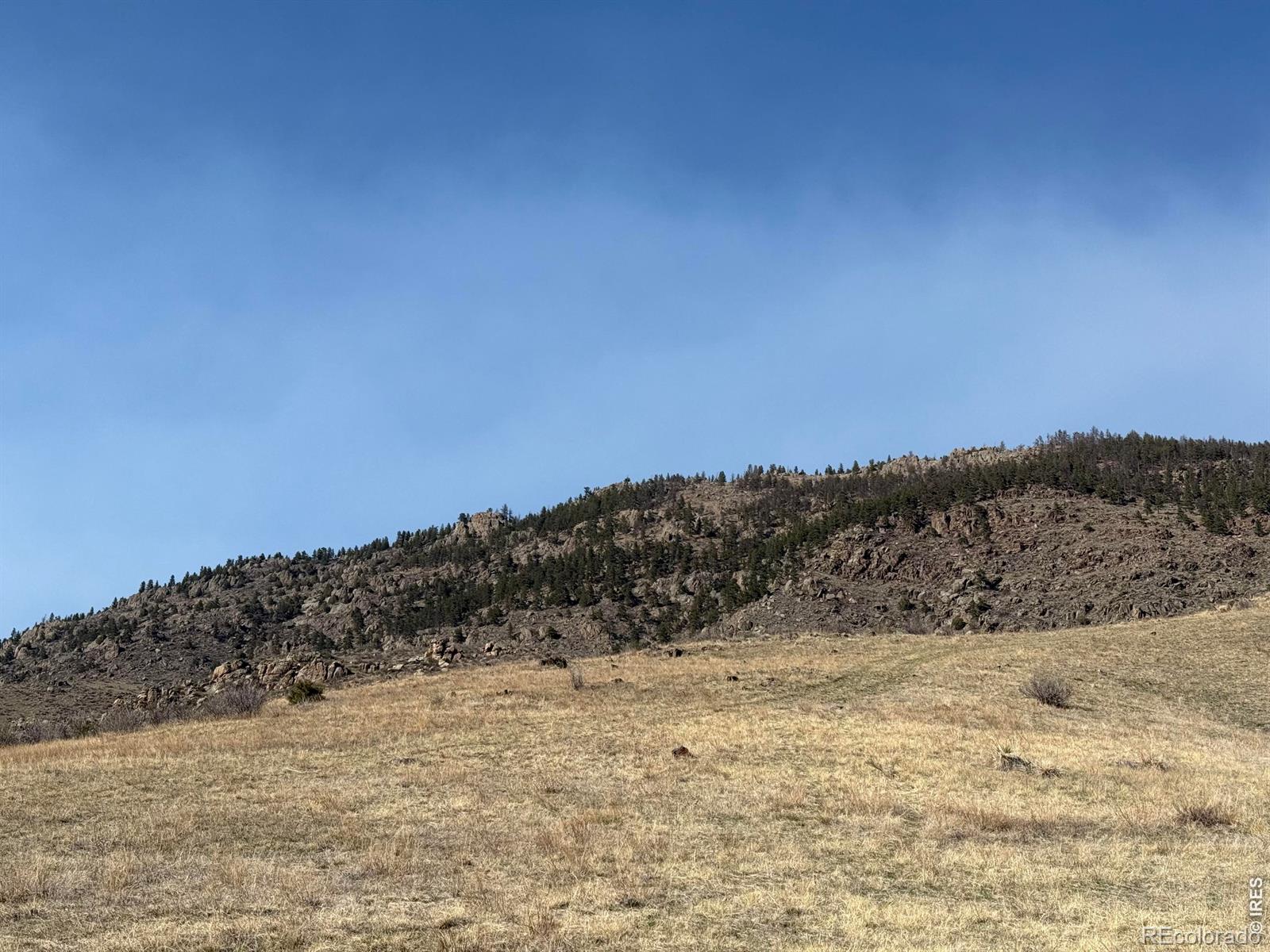 14750 Buckhorn Road Loveland CO 80538