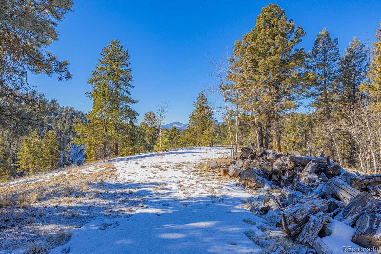 772 E Bison Creek Trail Florissant CO 80816