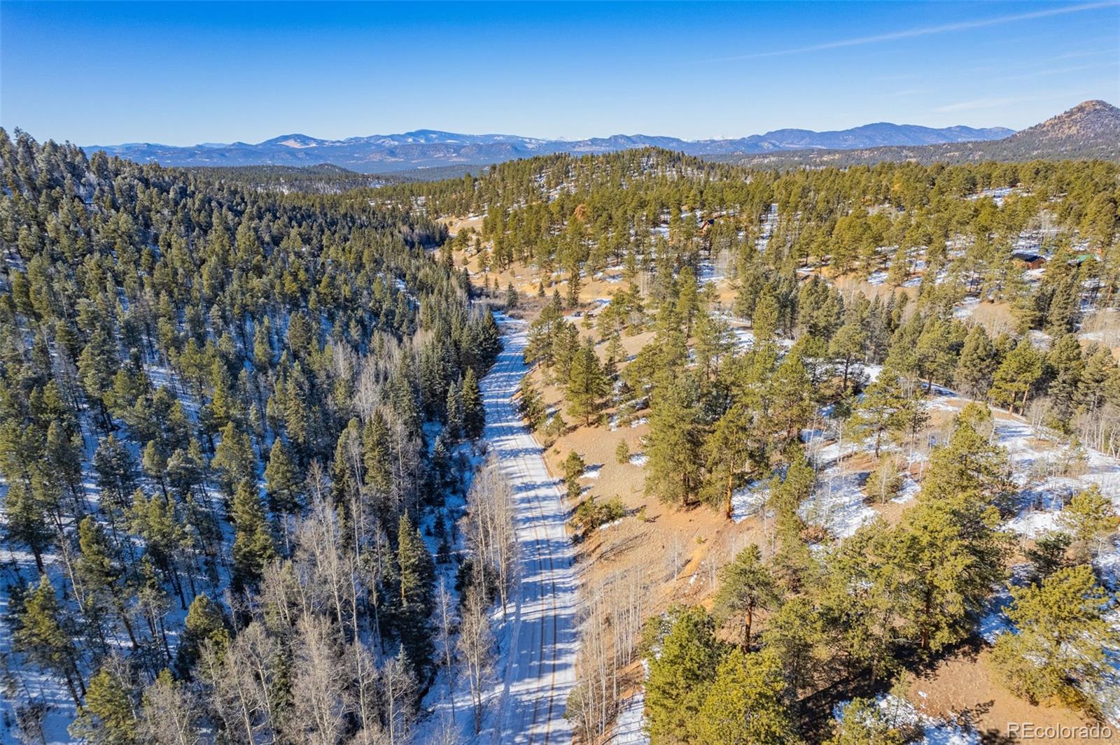 772 E Bison Creek Trail Florissant CO 80816