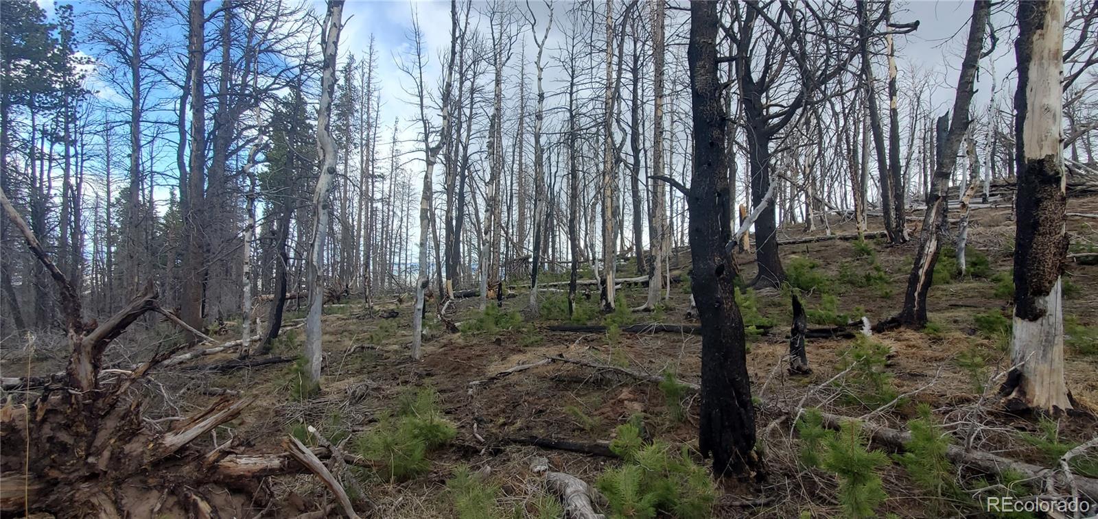 Lot 2738 Newman Place Fort Garland CO 81133