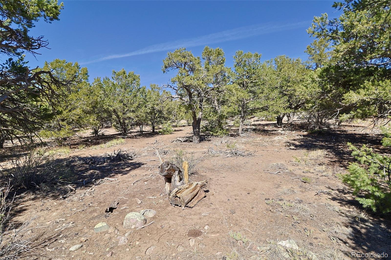 3921 Cordial Way Crestone CO 81131
