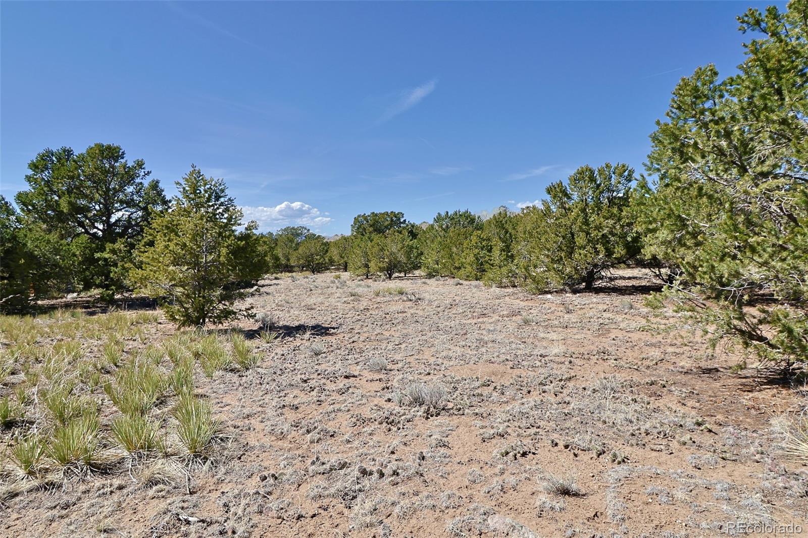 3921 Cordial Way Crestone CO 81131