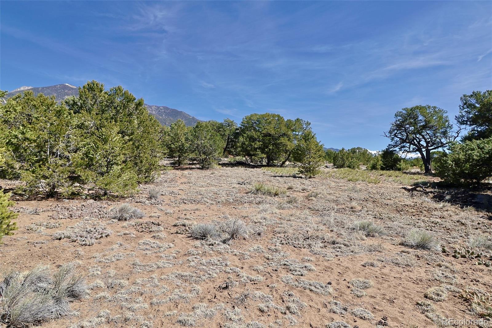 3921 Cordial Way Crestone CO 81131
