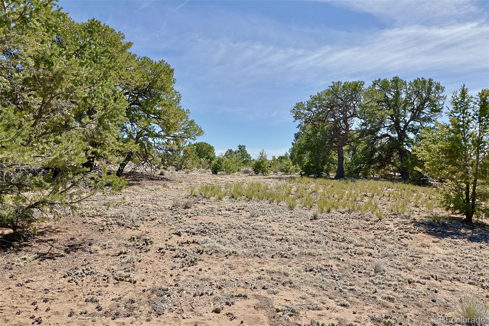 3921 Cordial Way Crestone CO 81131