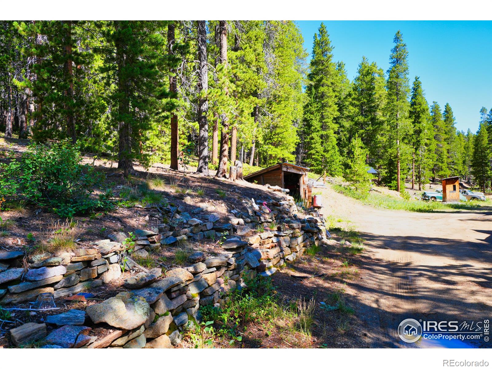 3533 Gamble Gulch Road Black Hawk CO 80422