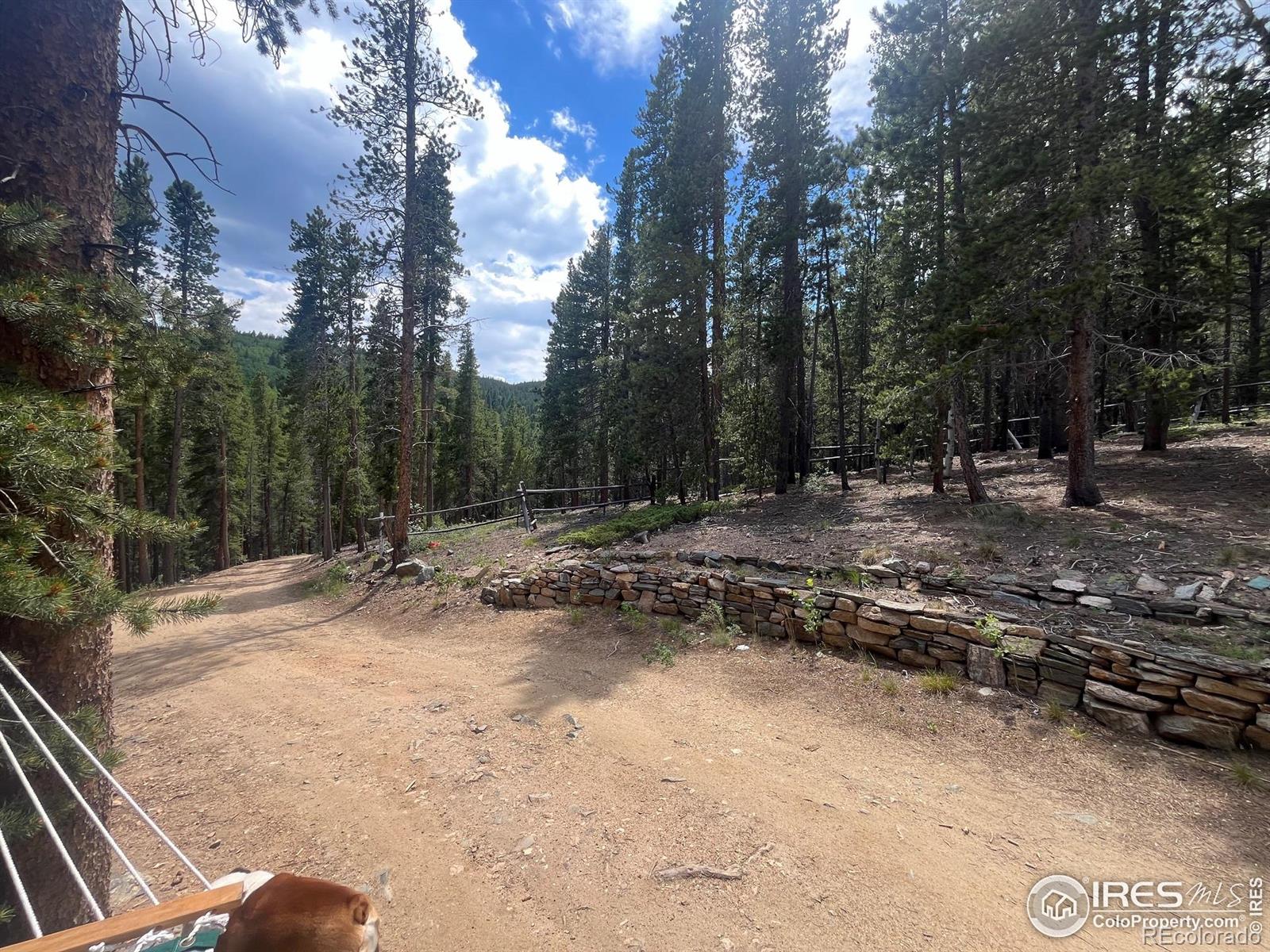 3533 Gamble Gulch Road Black Hawk CO 80422