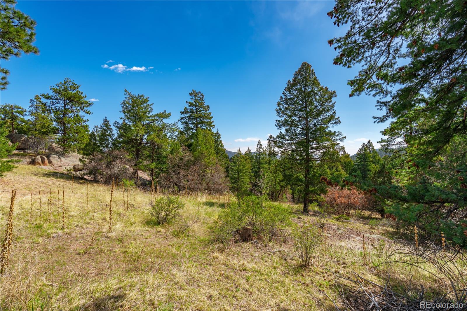22668 Shawnee Road Indian Hills CO 80454
