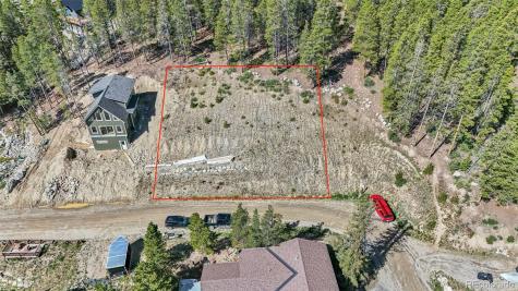 165 Spruce Street Alma CO 80420