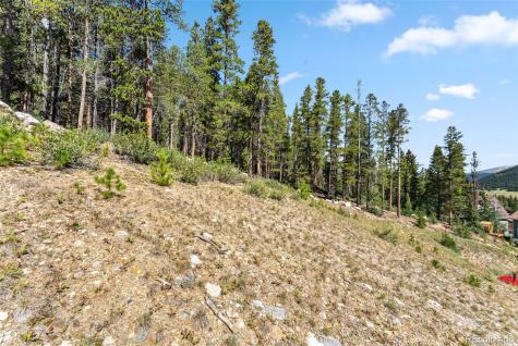 165 Spruce Street Alma CO 80420