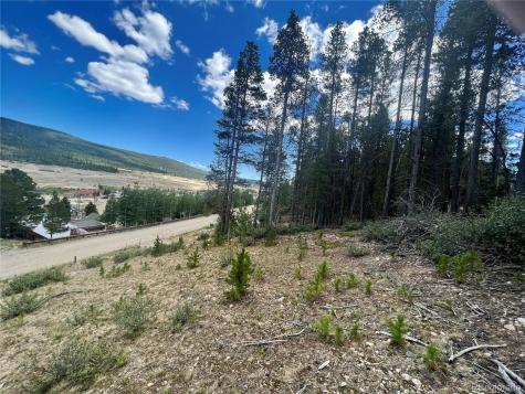 165 Spruce Street Alma CO 80420