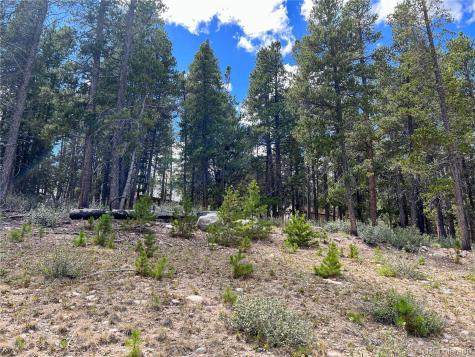 165 Spruce Street Alma CO 80420