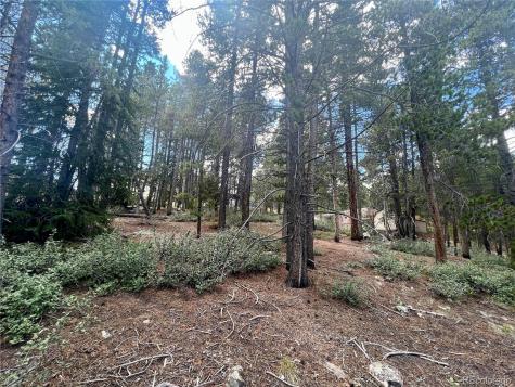 165 Spruce Street Alma CO 80420