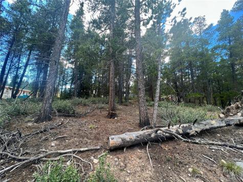 165 Spruce Street Alma CO 80420