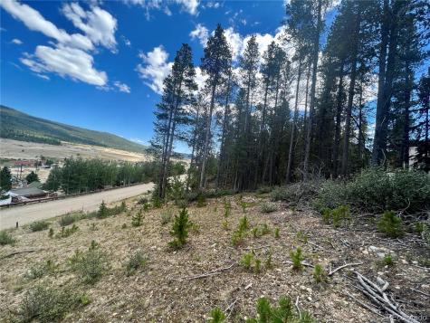 165 Spruce Street Alma CO 80420