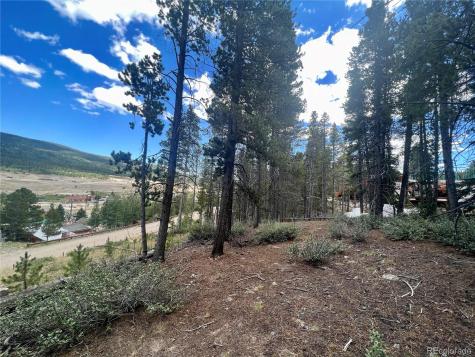 165 Spruce Street Alma CO 80420