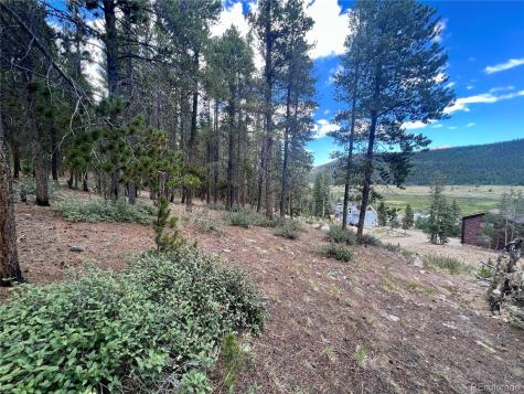 165 Spruce Street Alma CO 80420