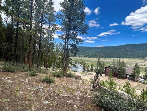 165 Spruce Street Alma CO 80420