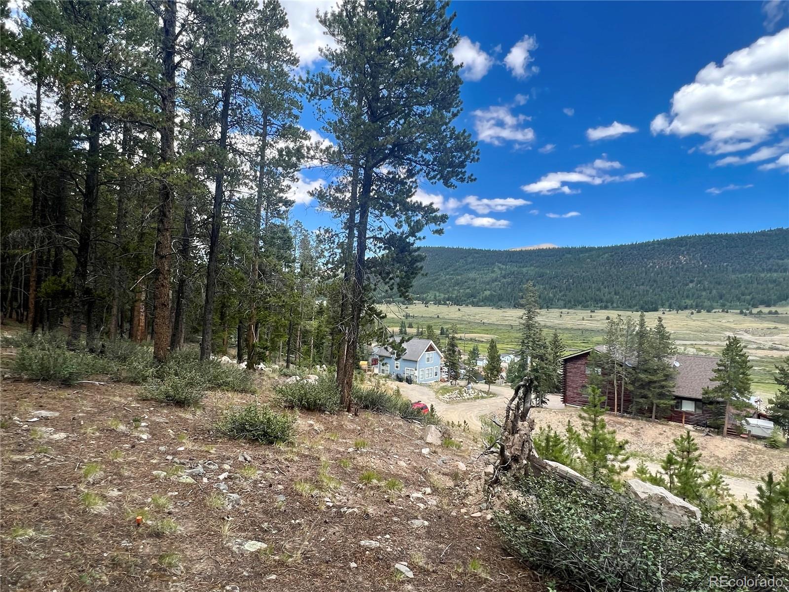 165 Spruce Street Alma CO 80420