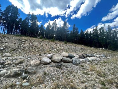 165 Spruce Street Alma CO 80420