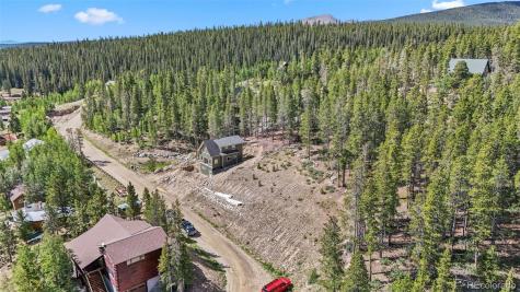 165 Spruce Street Alma CO 80420