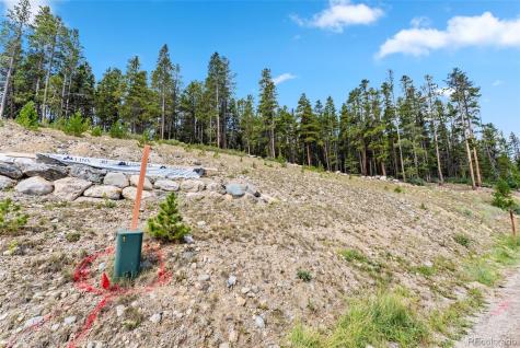 165 Spruce Street Alma CO 80420