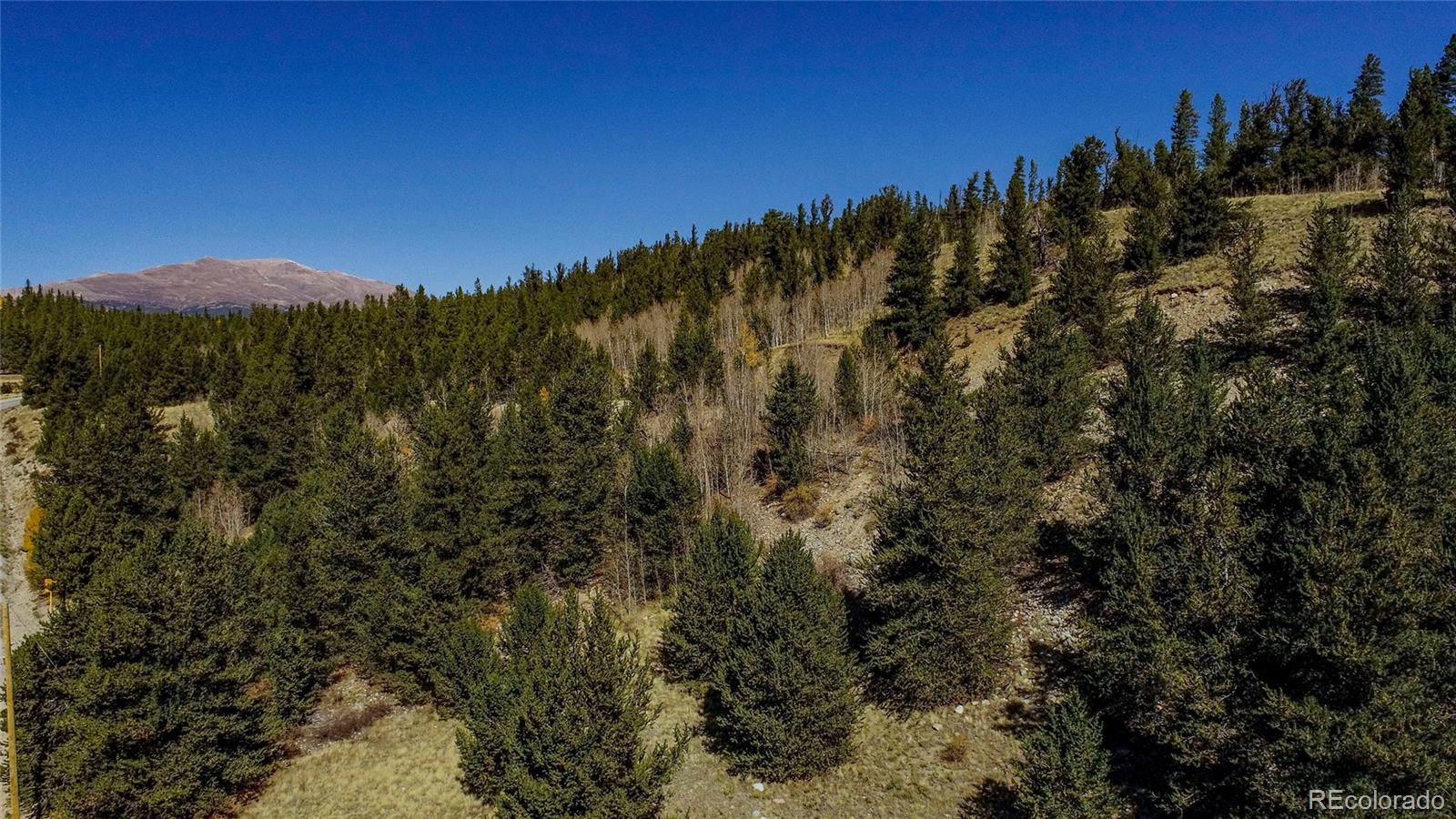 425 Platte River Drive Fairplay CO 80440