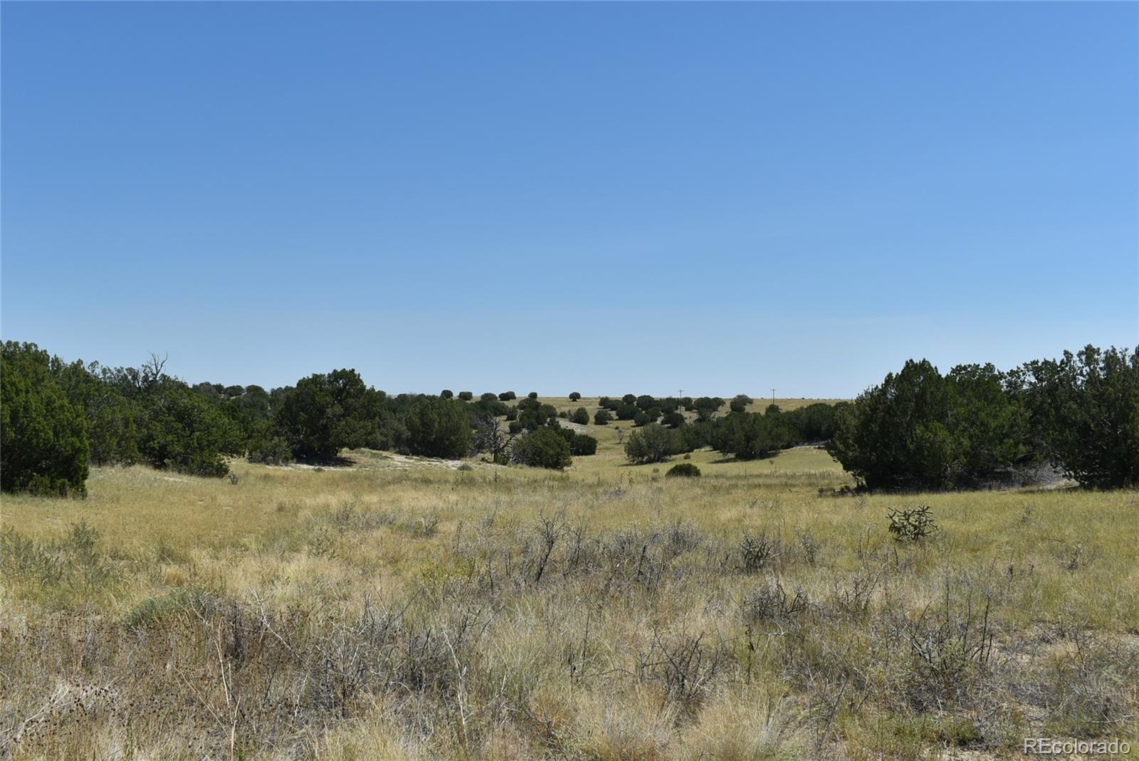 000 County Road 93.9 Trinidad CO 81082