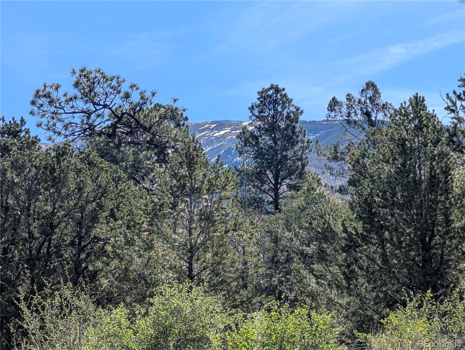 200 Mill Run Road Mosca CO 81146